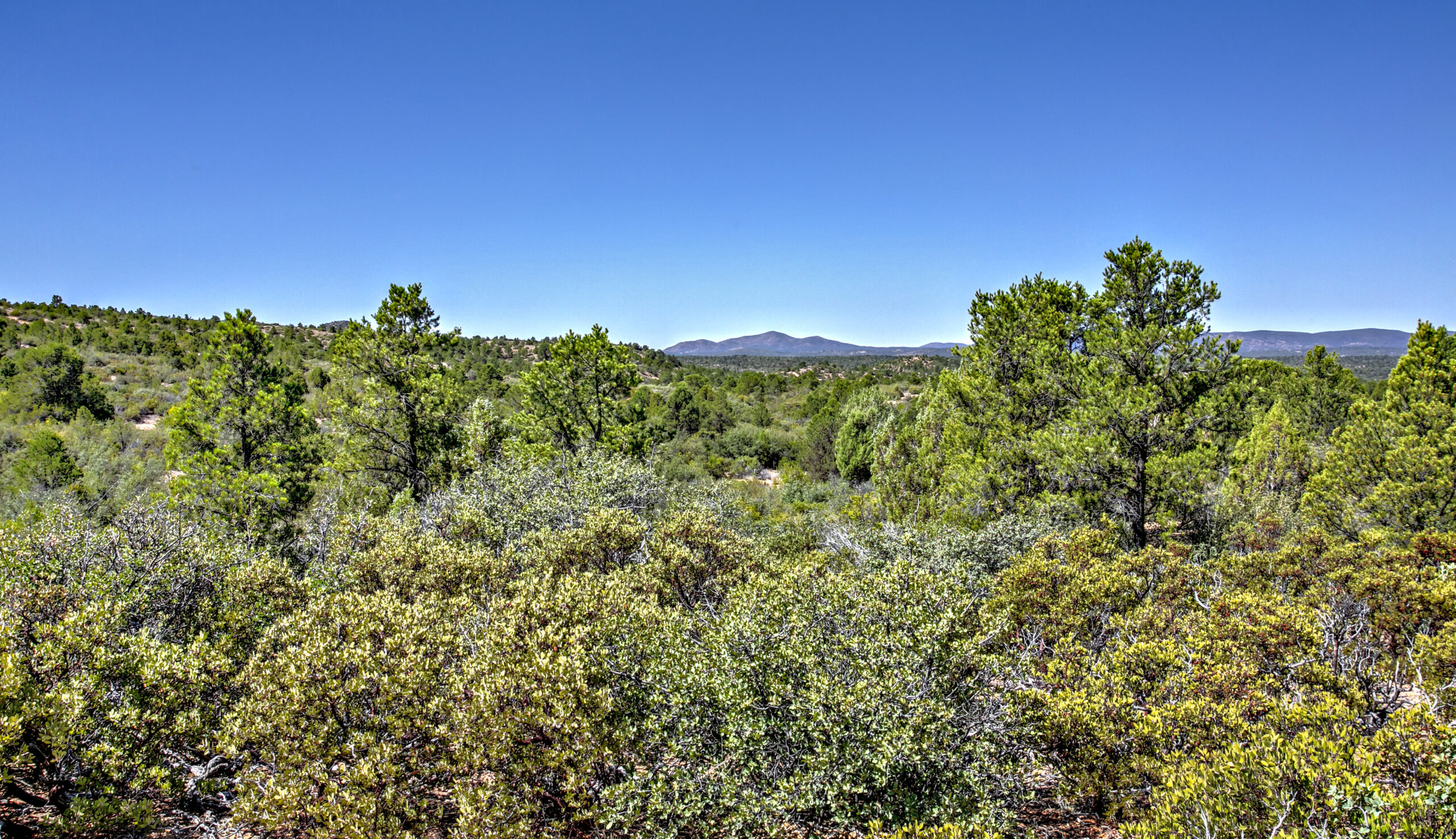 Prescott Real Estate Whispering Canyon